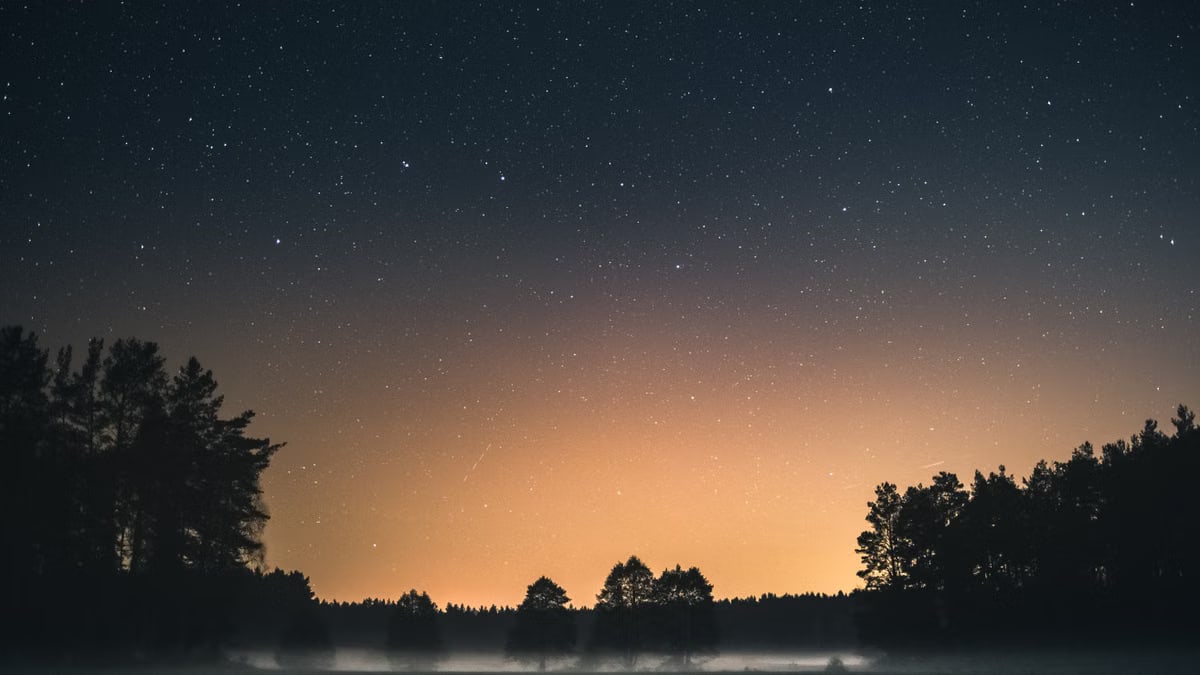 A serene night sky filled with stars above a misty forest silhouette, evoking mystery and wonder.